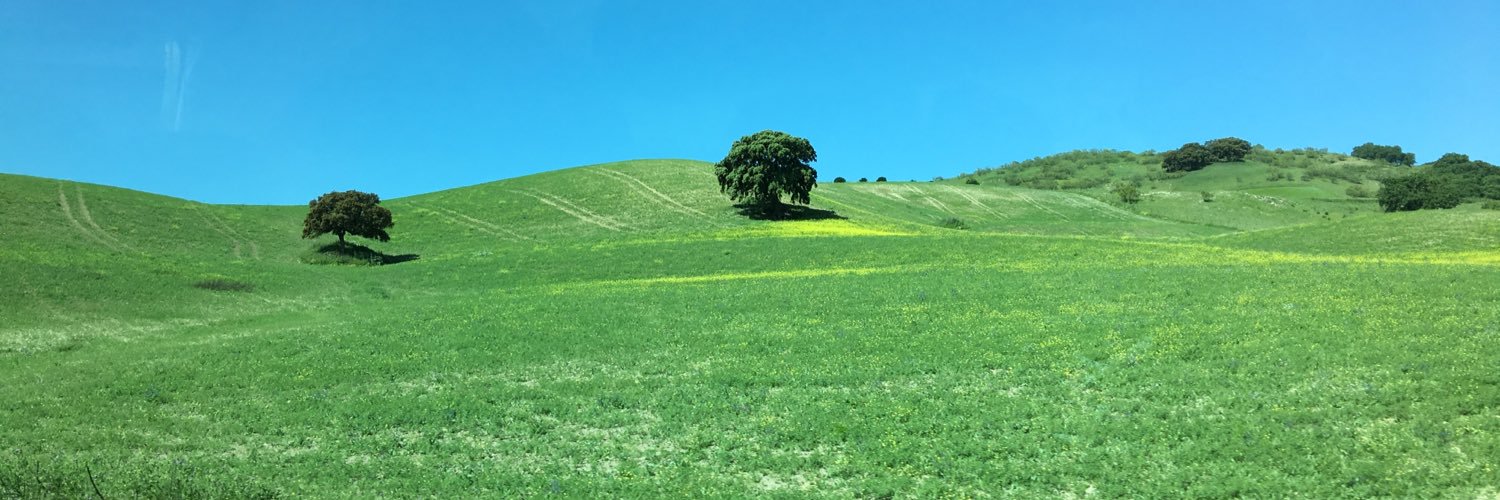 ChoPD (조피디) banner