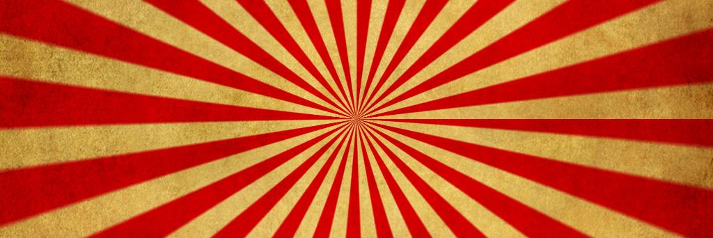 Signe Sonne-Holm banner