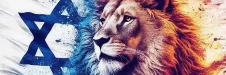 RodrigoFuba23's profile banner image