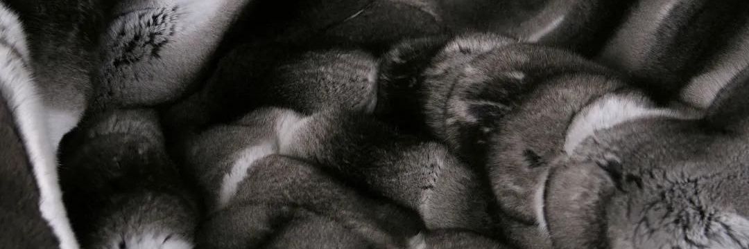FurLoverTim's profile banner image