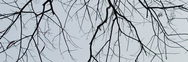 mikesnosense Profile Banner