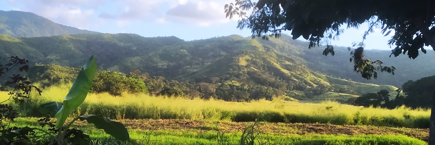 torrealba955's profile banner image
