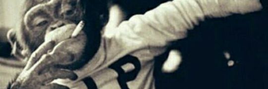 TipsJudiBola's profile banner image