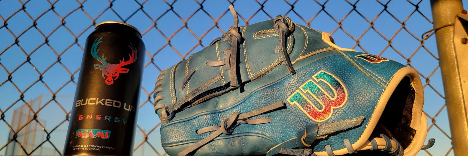 Hit Dogs - OH banner