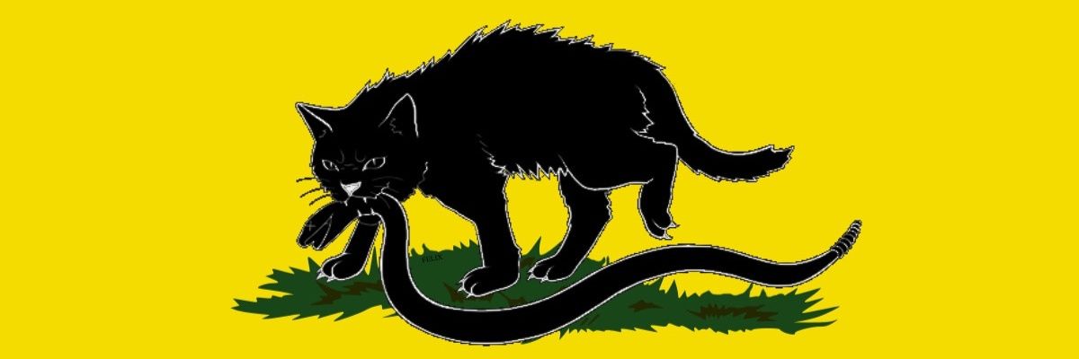 Schrodinger's Gat™ banner