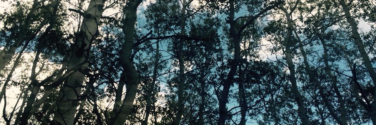 sachindurge's profile banner image
