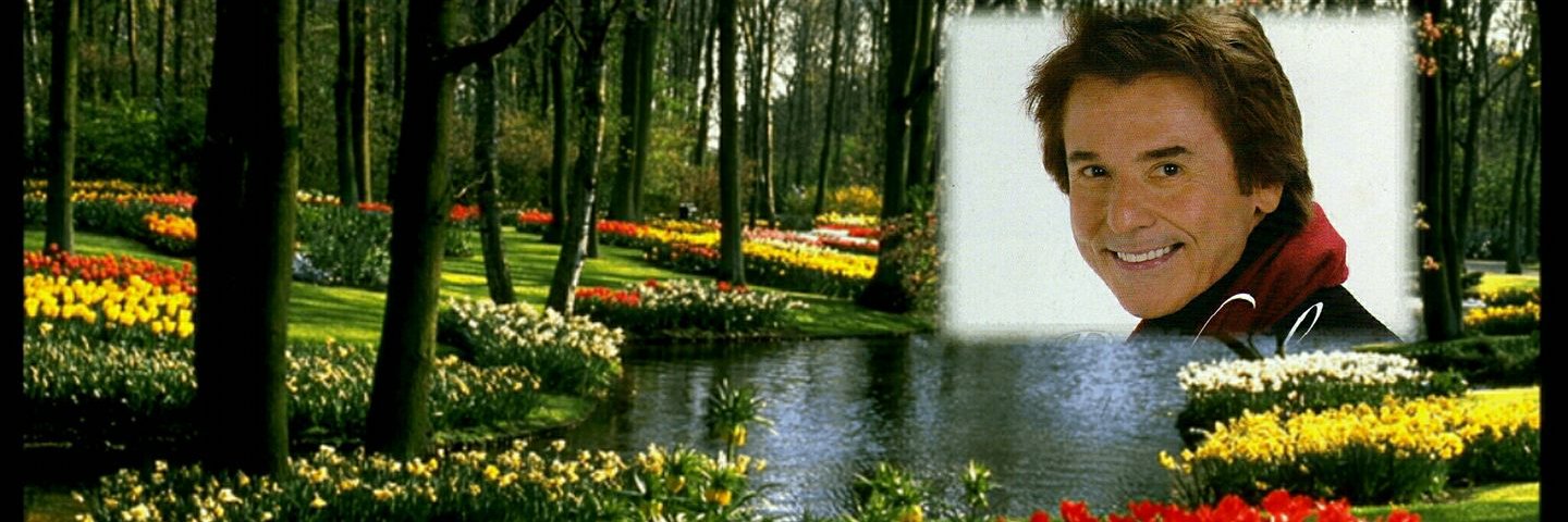_polikarpova's profile banner image