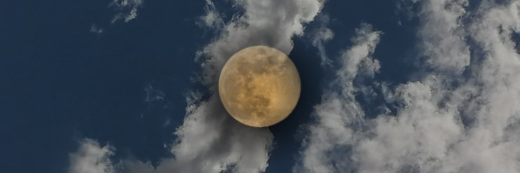 ... banner