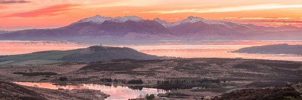 TheCoig Profile Banner