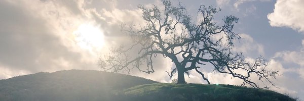 COSFoundation Profile Banner