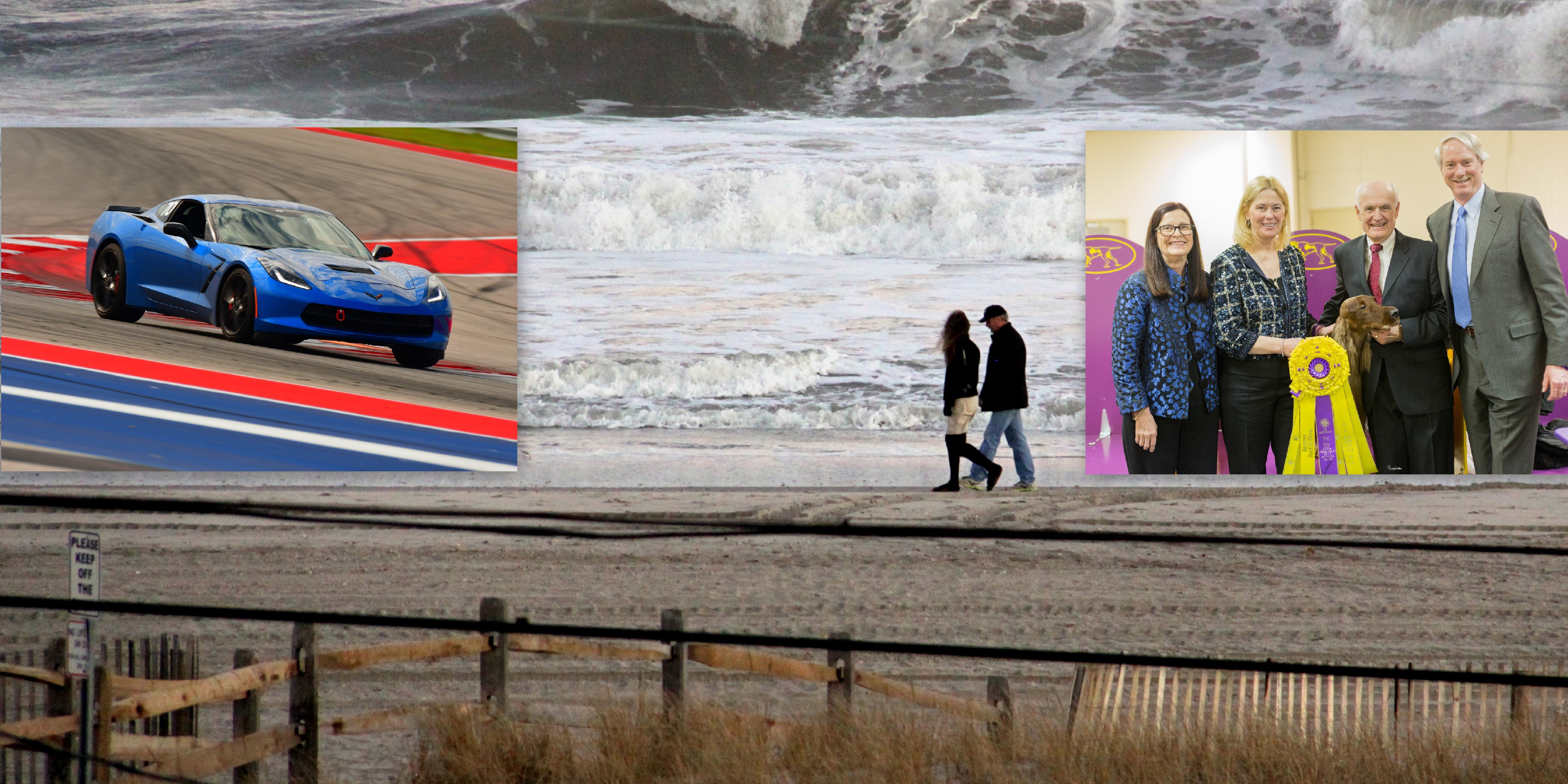 ausocnj's profile banner image