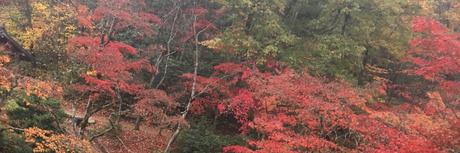 rzns_79's profile banner image