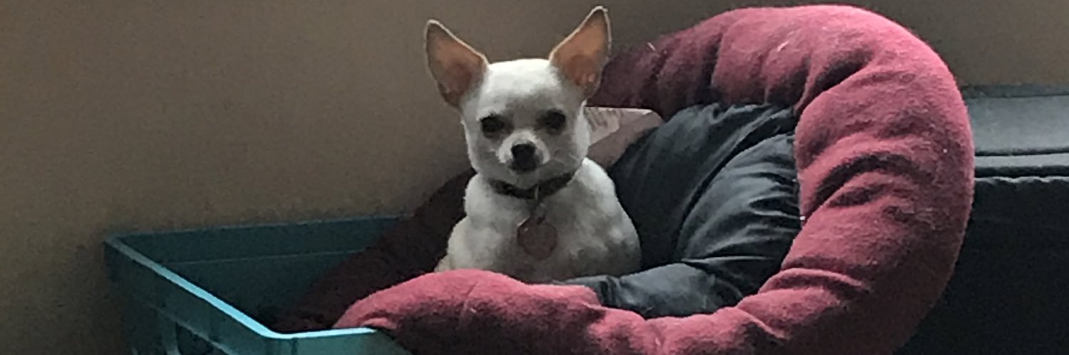 That lady you hate 🐀 banner