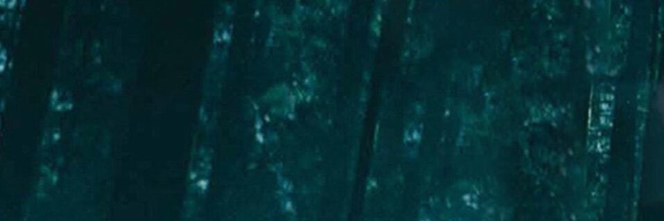 sa_16z's profile banner image