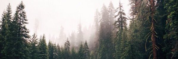bnels21's profile banner image