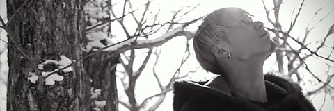 c00252404's profile banner image