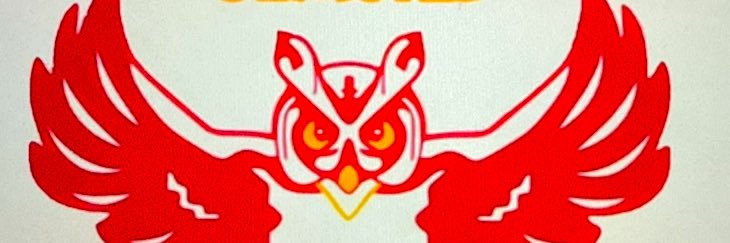 Olmsted Varsity Baseball banner