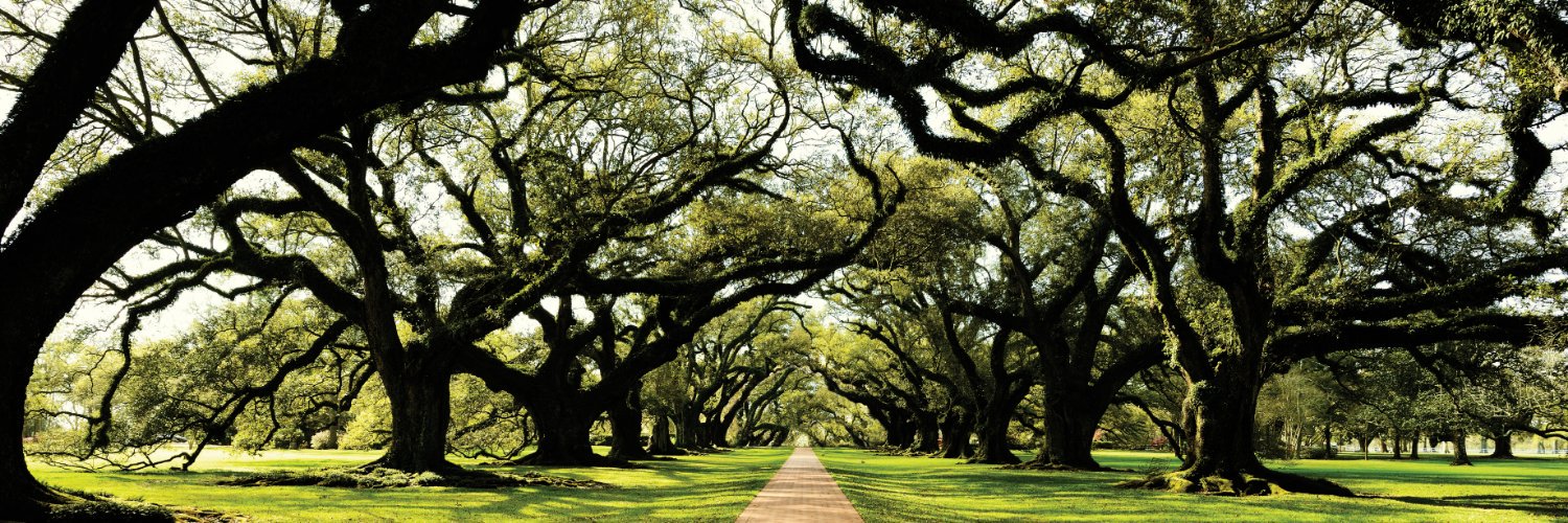 Explore Bluffton, SC banner
