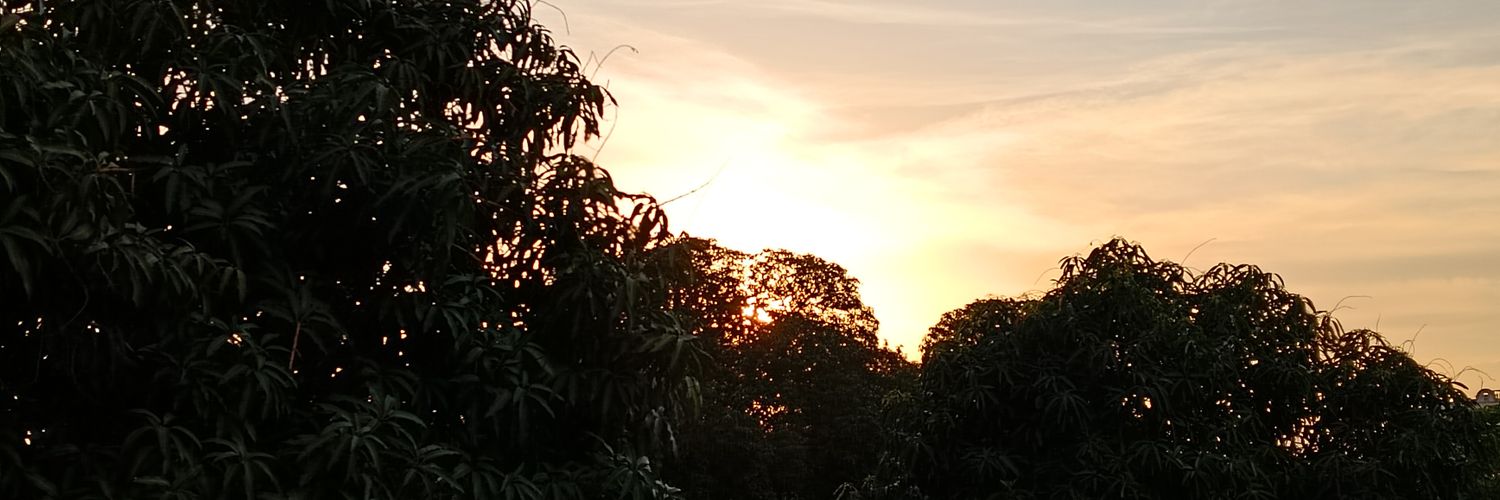 issraa23's profile banner image