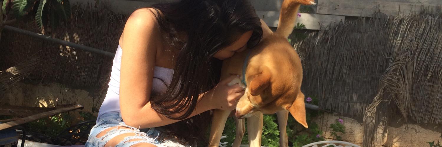 AprilDanan's profile banner image