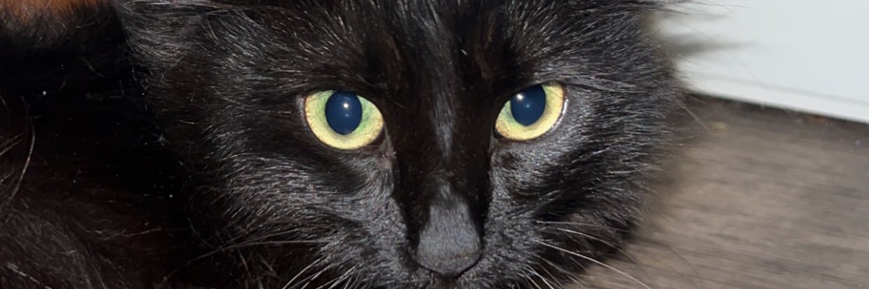 jazllll's profile banner image