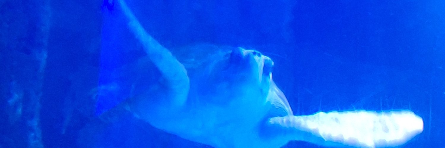 AnOrigins's profile banner image