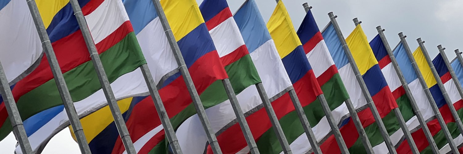 Diputado Rafael Rodríguez banner