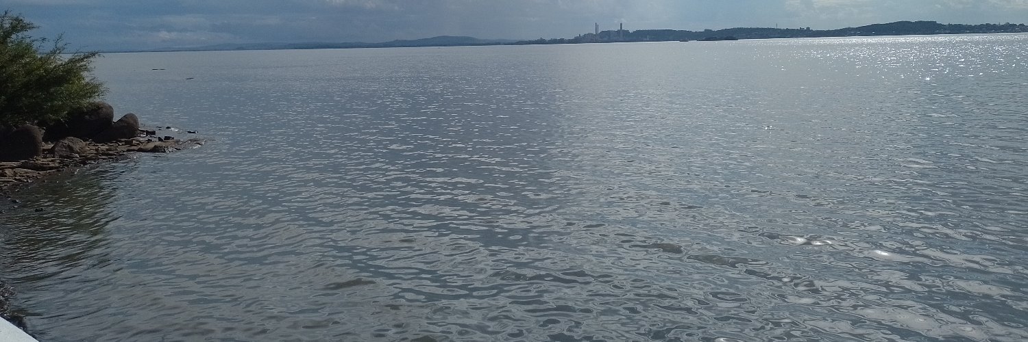 qqfoiduda_'s profile banner image