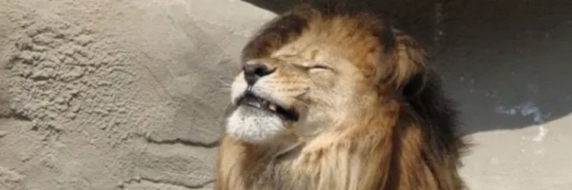 Im_MANDAtory's profile banner image