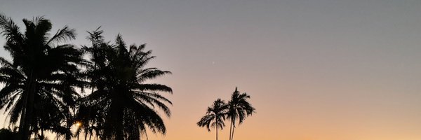 RigobonReads Profile Banner