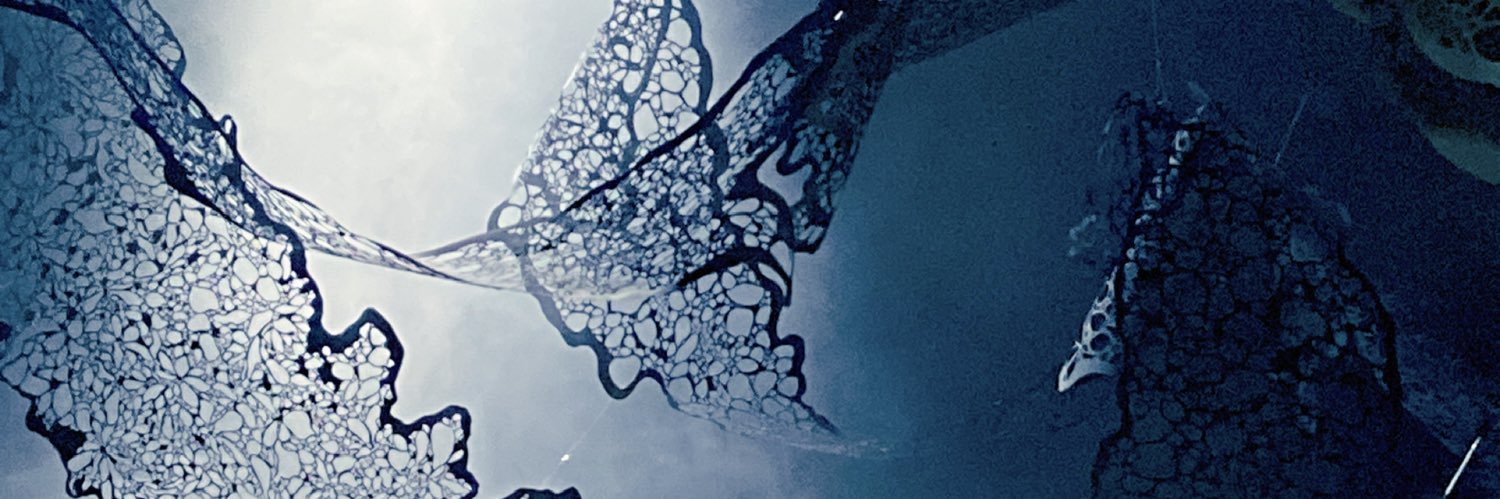 高橋郁子 ＊ Takahashi Ikuko banner