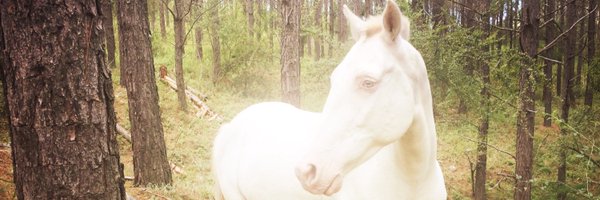 FonziDolores Profile Banner