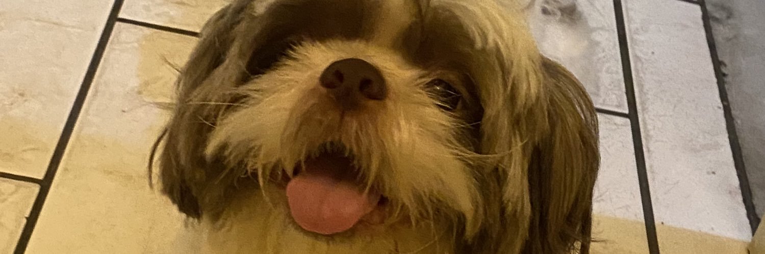 euquerimbora's profile banner image