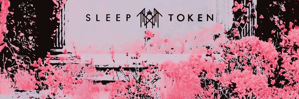 cherry ₊˚⊹♡'s banner