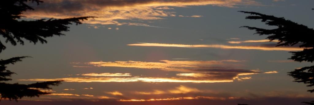 JozePlut's profile banner image