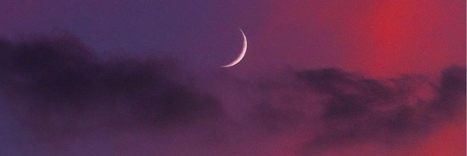 Davin's an asshole banner