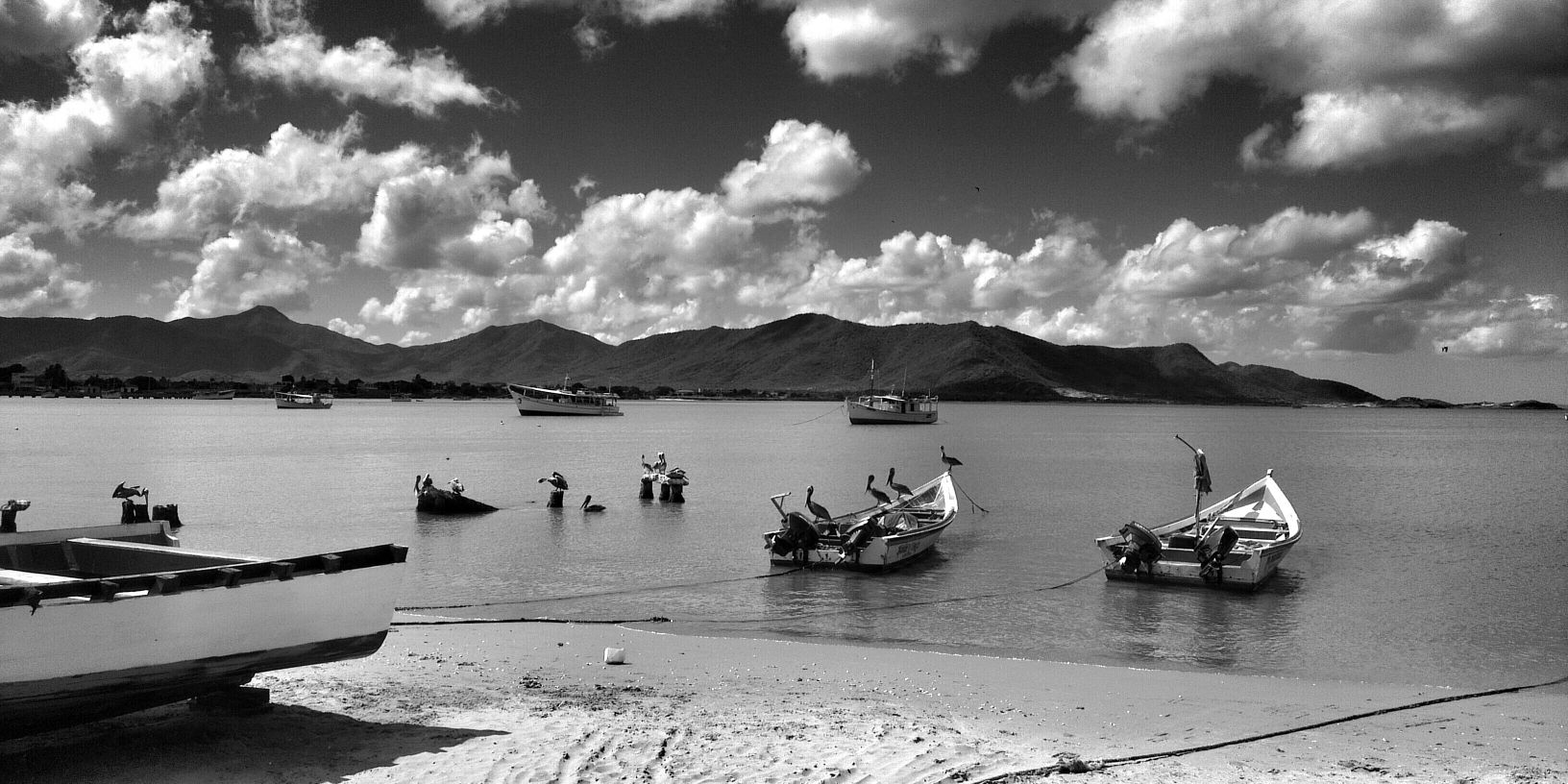 fotocrisostomo's profile banner image