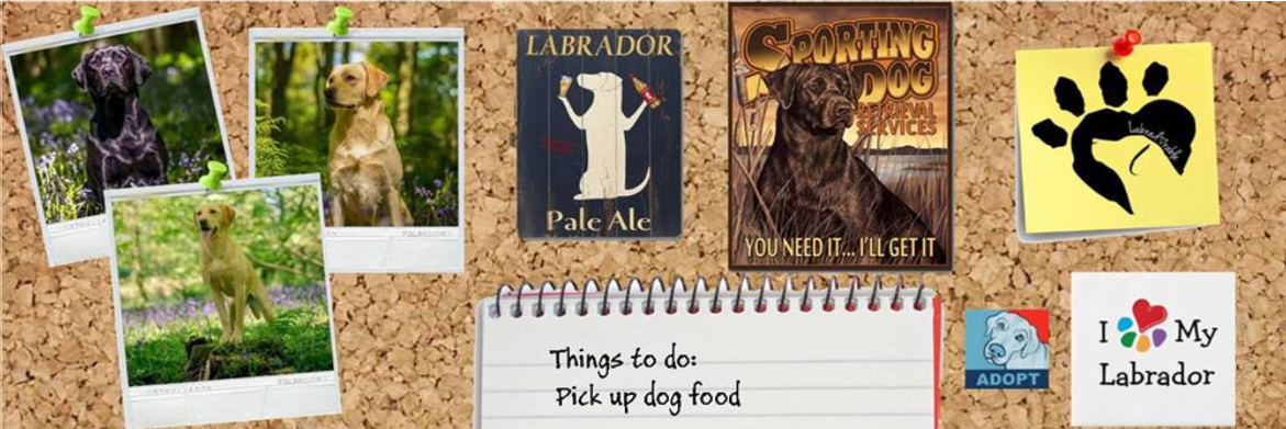 labradorableco's profile banner image