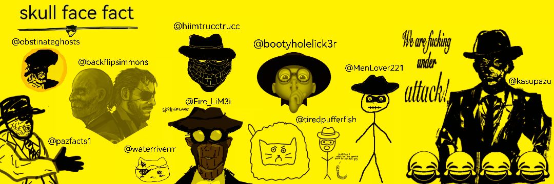 Skull Face Facts's banner