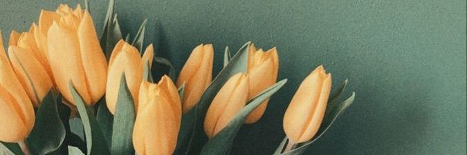 CaryZX2 banner