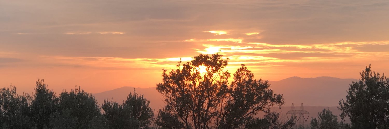espeniola's profile banner image
