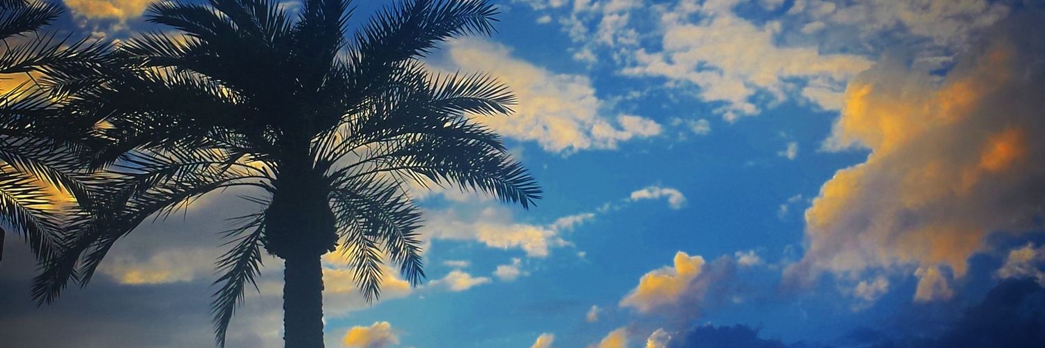 lnettiebob1's profile banner image
