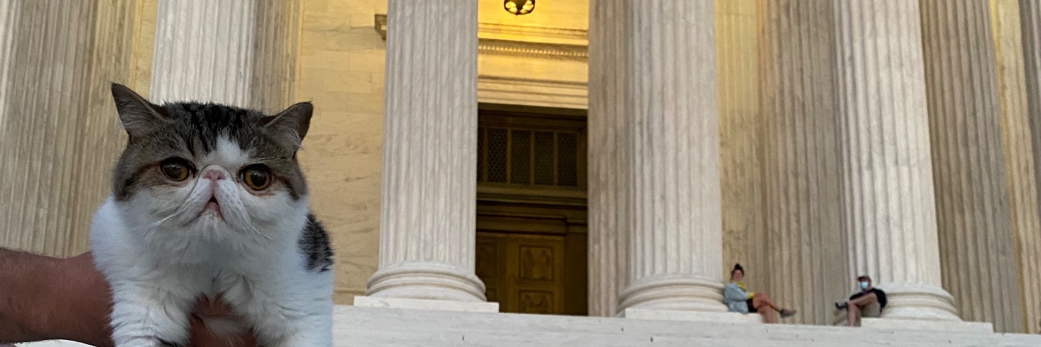 nsaadbembridge's profile banner image