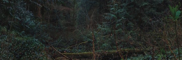 #1 hawkfrost fan's banner