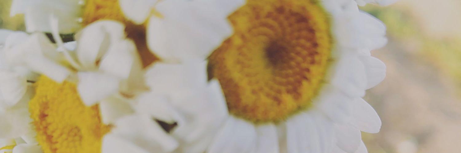 blgekr's profile banner image