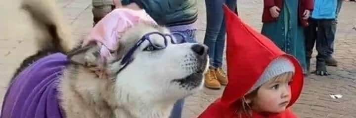 KurtSenka's profile banner image