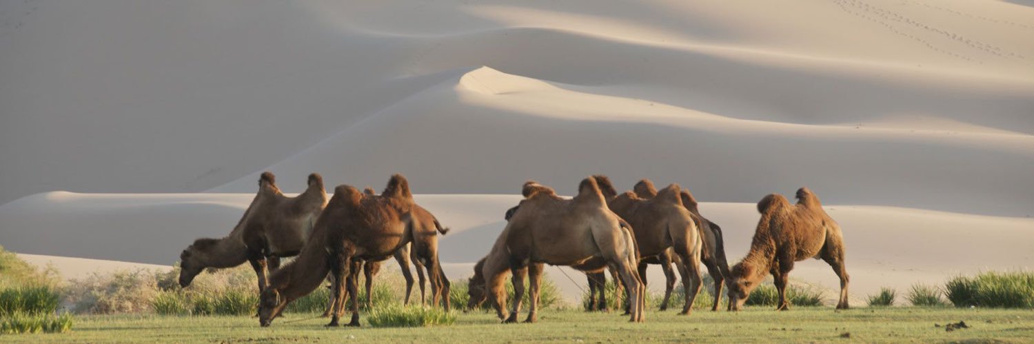 Munkh liberty banner