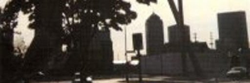 LionsOfMarch's profile banner image