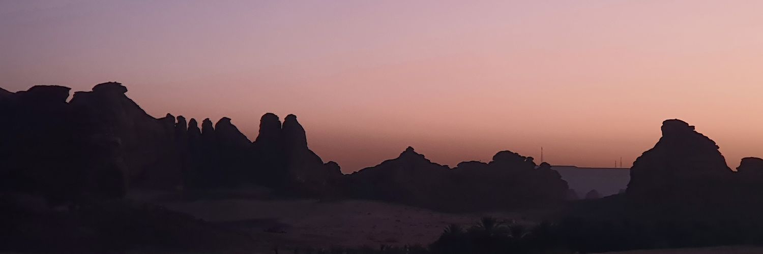 Roarvisky's profile banner image