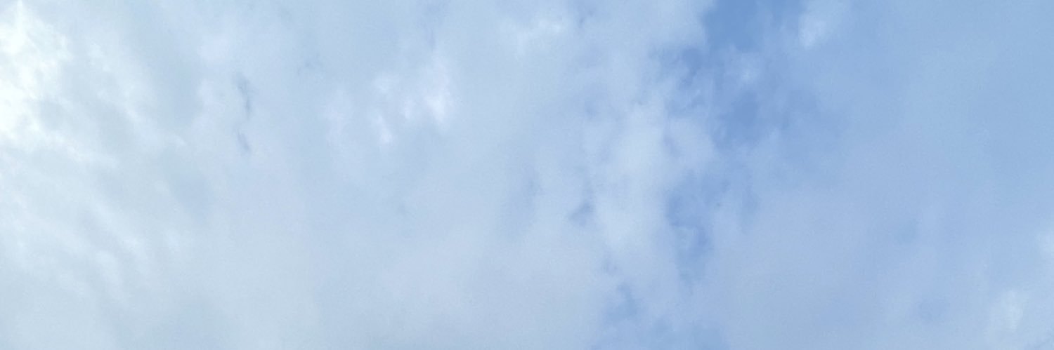 lizstaaa's profile banner image
